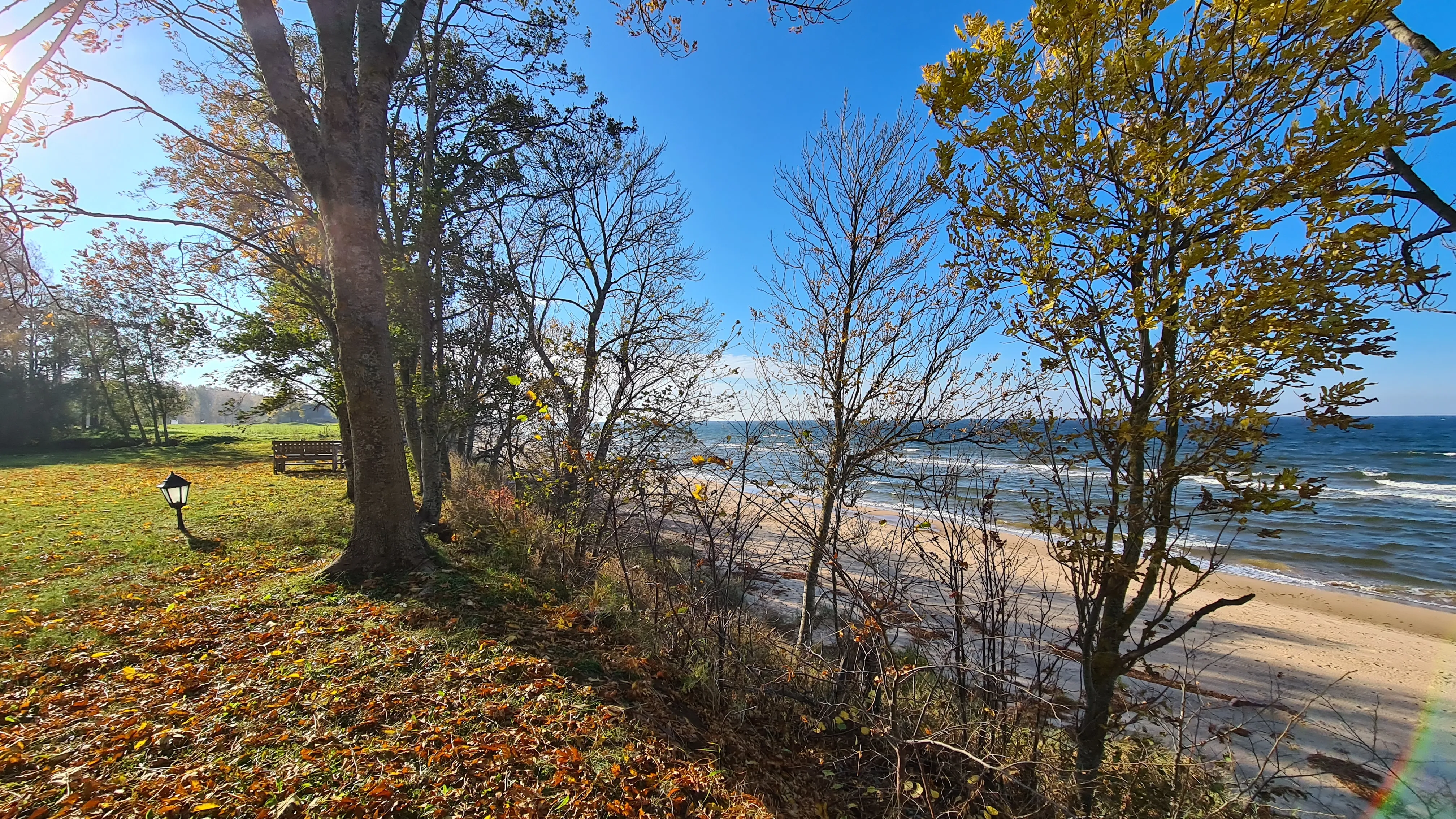 Grassy bluff with trees overlooking the beach and the Baltic Sea